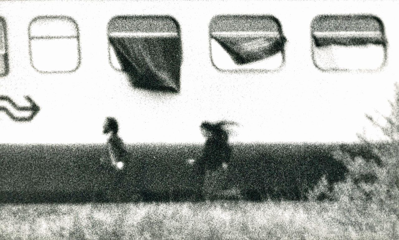 Twee kapers bij de trein in De Punt, tussen Groningen en Assen. De gijzeling duurde van 23 mei tot 11 juni 1977.