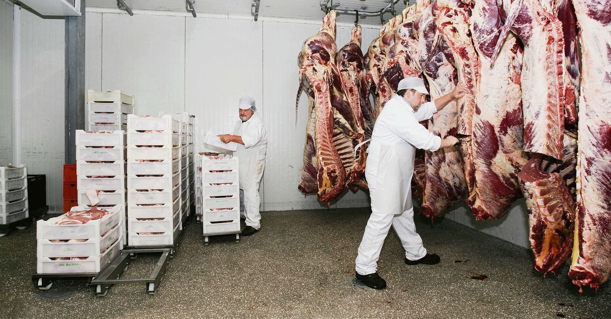 Zoon: ‘Altijd slachter willen worden’