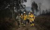 Deze zomer gaan bijna 650 brandweerlieden uit veertien EU-landen naar risicogebieden in Frankrijk, Griekenland, Portugal en Spanje, betaald door de EU. 