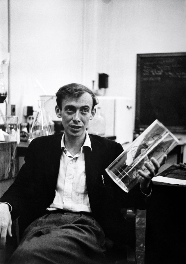 James Watson in 1954. 