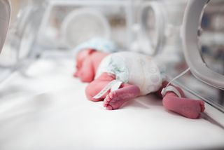Antilichaam voorkomt infecties door RS-virus - NRC