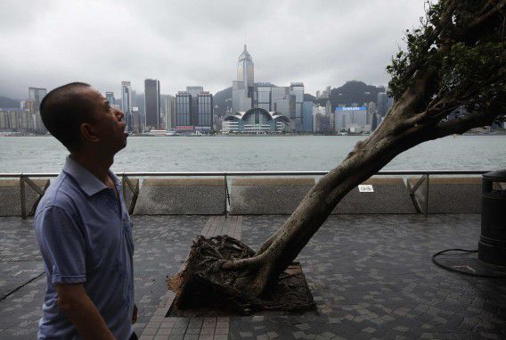 A man reacts while walking past an uprooted tree after Typhoon Vicente hit Hong Kong July 24, 2012. A severe typhoon hit Hong Kong on Tuesday, disrupting business across the financial hub, with offices and the stock market to remain closed for at least part of the morning after the city raised its highest typhoon warning overnight. REUTERS/Tyrone Siu (CHINA - Tags: ENVIRONMENT DISASTER CITYSPACE)