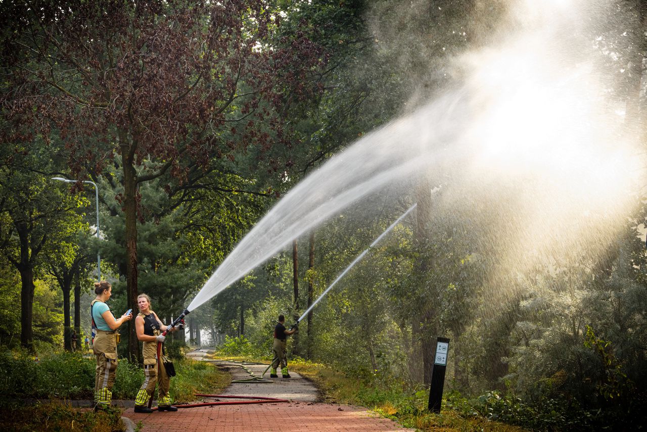 Crown Fire Near Venray Is Most Dangerous Type, Experts Warn