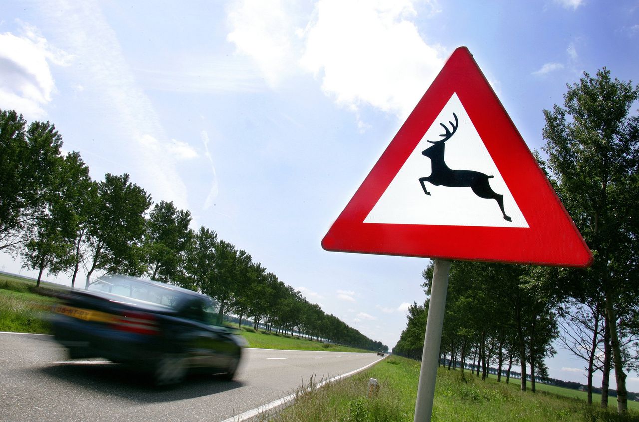 Een verkeersbord dat waarschuwt voor overstekend wild.