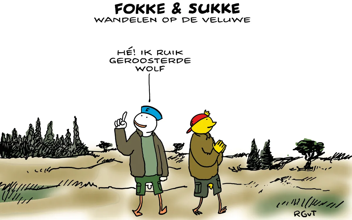 F & S