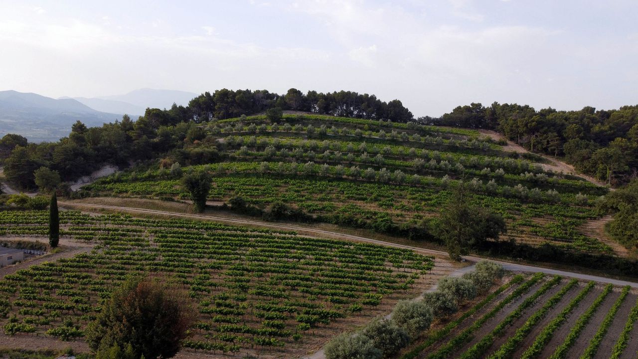 Trump threatens 100% tariffs on French wine at G7 summit