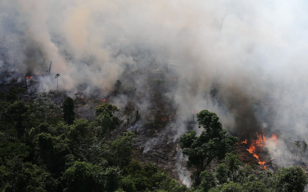 Brand in de Amazone nabij Novo Progresso.