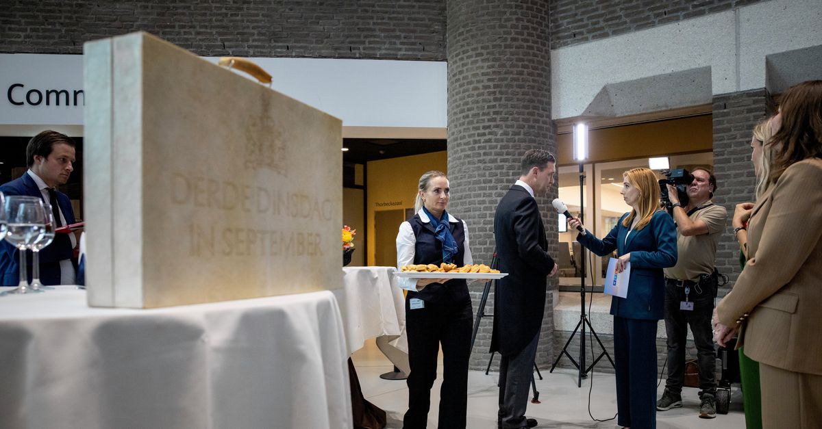 Overheid wil met behulp van AI bezuinigen op het ambtenarenbestand. Maar zo snel gaat dat helemaal niet, zegt deze hoogleraar