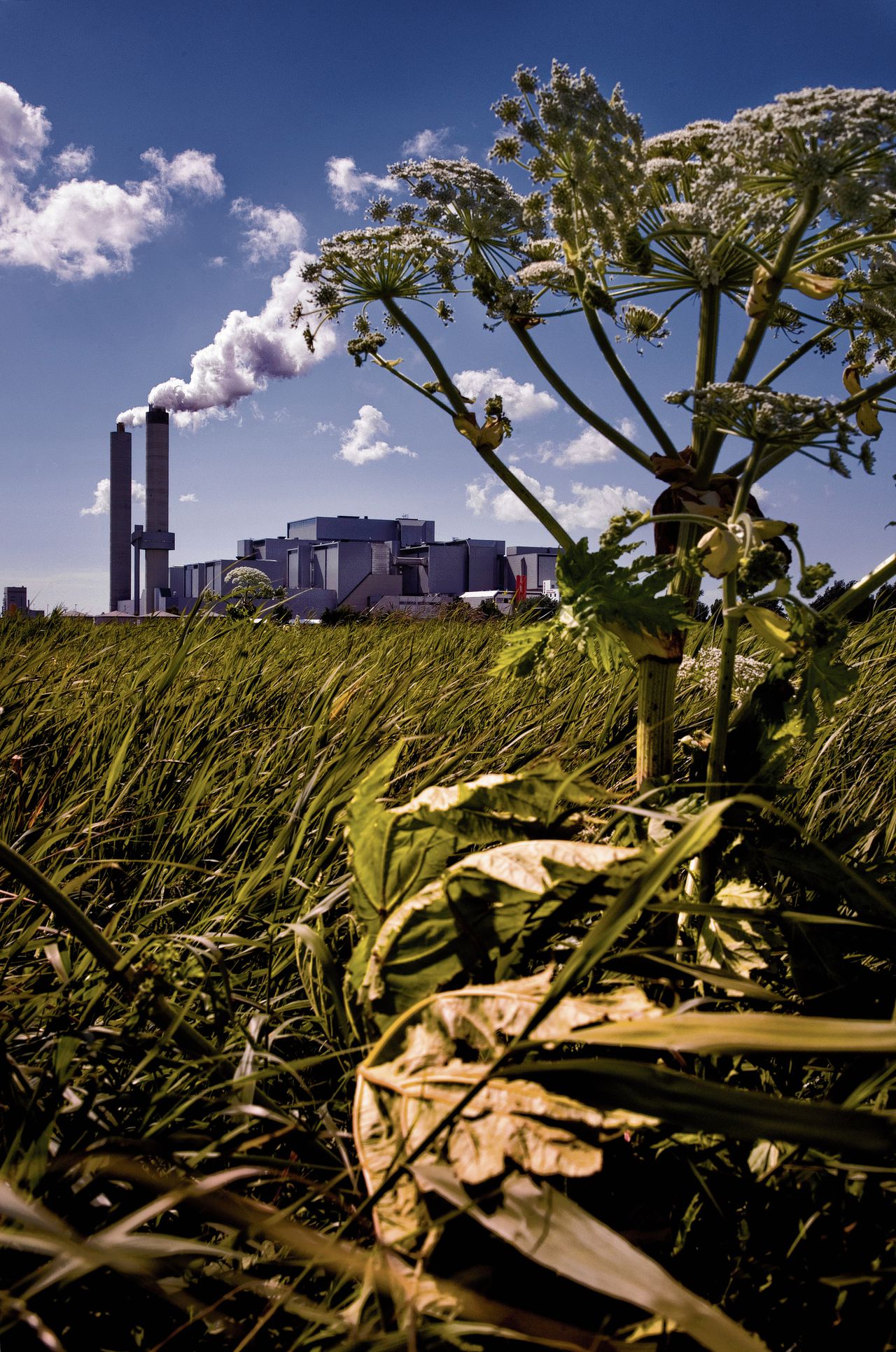 Naast industriële producenten gaan ook afvalverbranders zoals AEB in Amsterdam onder de CO2-heffing vallen.