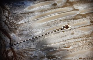 Get Wallpaper De Kust Is Perfect Voor Kunst Nrc Desktop Wallpaper
