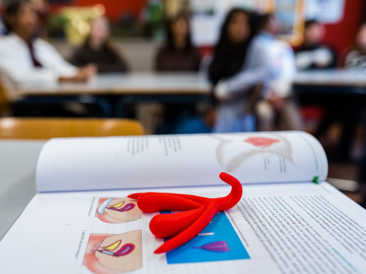 Met behulp van een 3D-clitoris krijgen leerlingen van een middelbare school in Nieuwerkerk een les seksuele vorming over het vrouwelijke geslachtsorgaan. De les is een initiatief van Expertisecentrum Seksualiteit Rutgers.