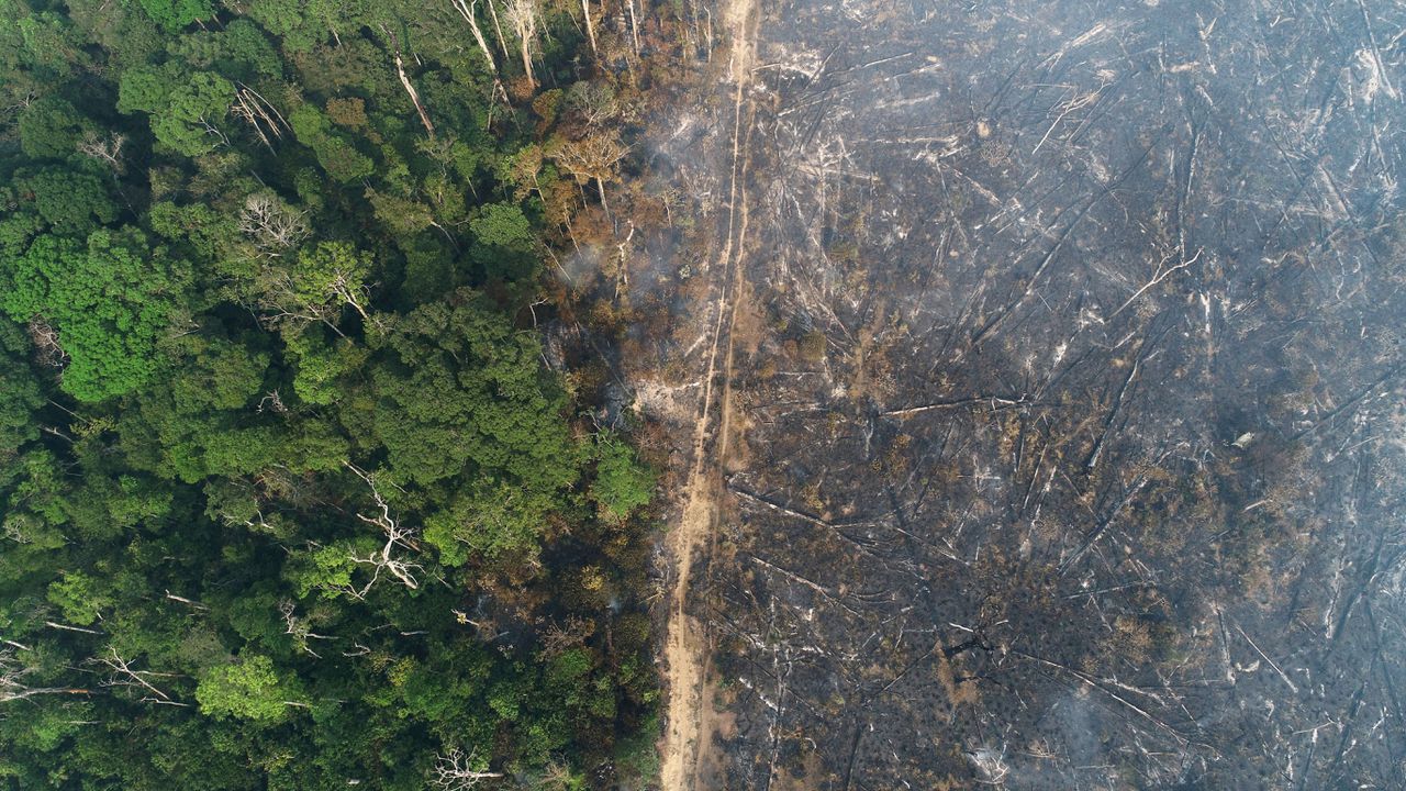 Brandende Amazone bij Apui in Brazilië