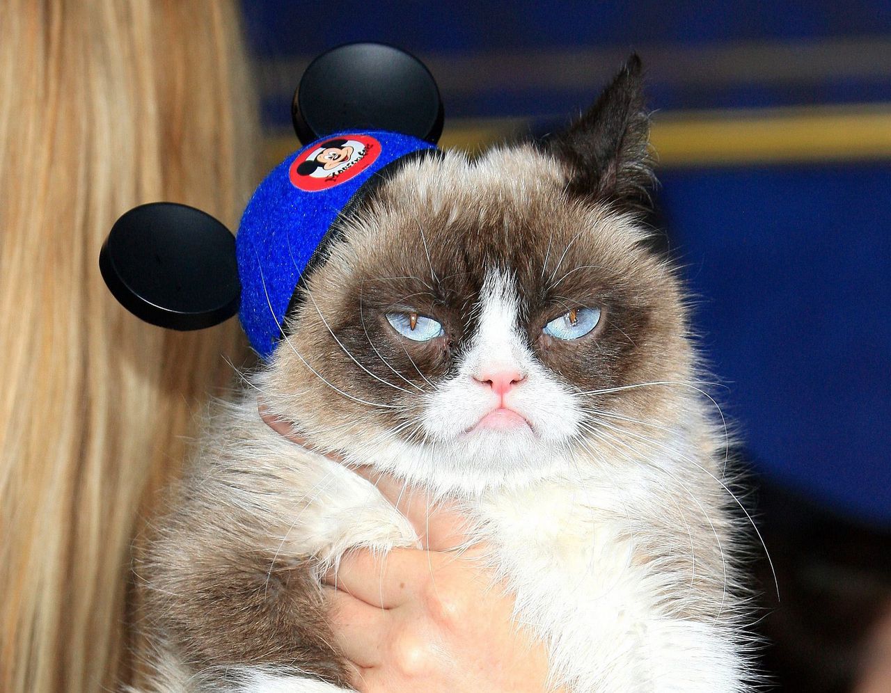 Grumpy Cat heeft volgens haar eigenaren "miljoenen mensen laten lachen".