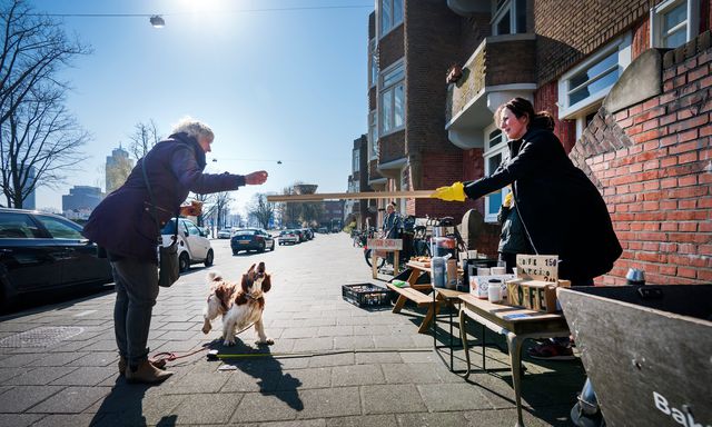 Zeven gerenommeerde wetenschappers vrijwel eensgezind Israël   NRC