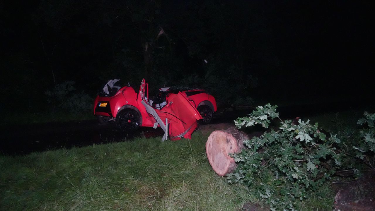Overnight storm: one dead from fallen tree in Drenthe, fewer trains due to trees on tracks