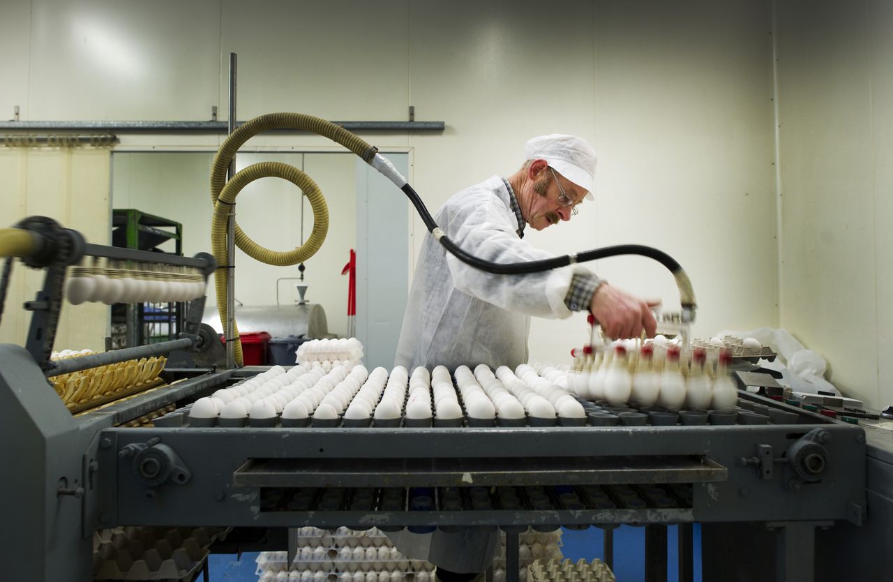 Barneveld is in het teken van het ei NRC