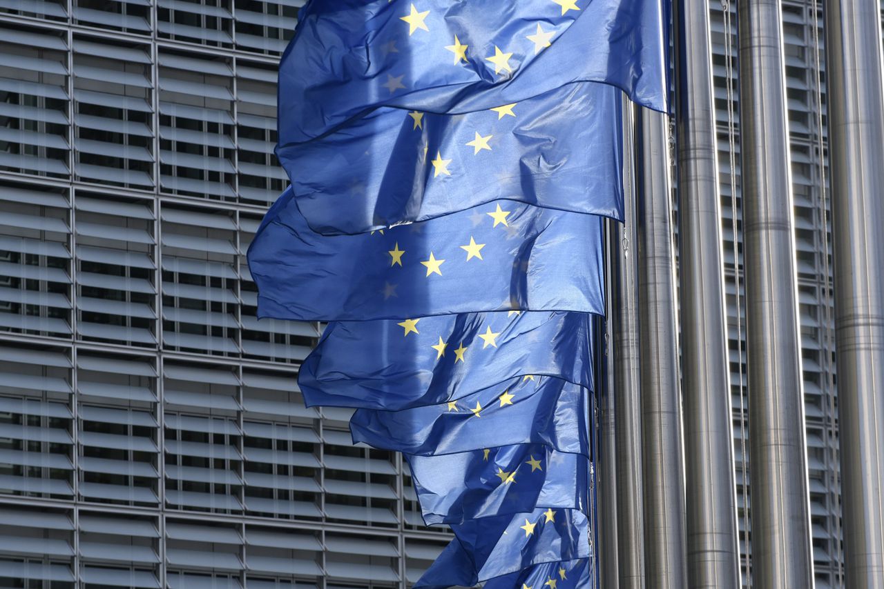 Nieuwkomers zullen de Europese Unie opschudden 