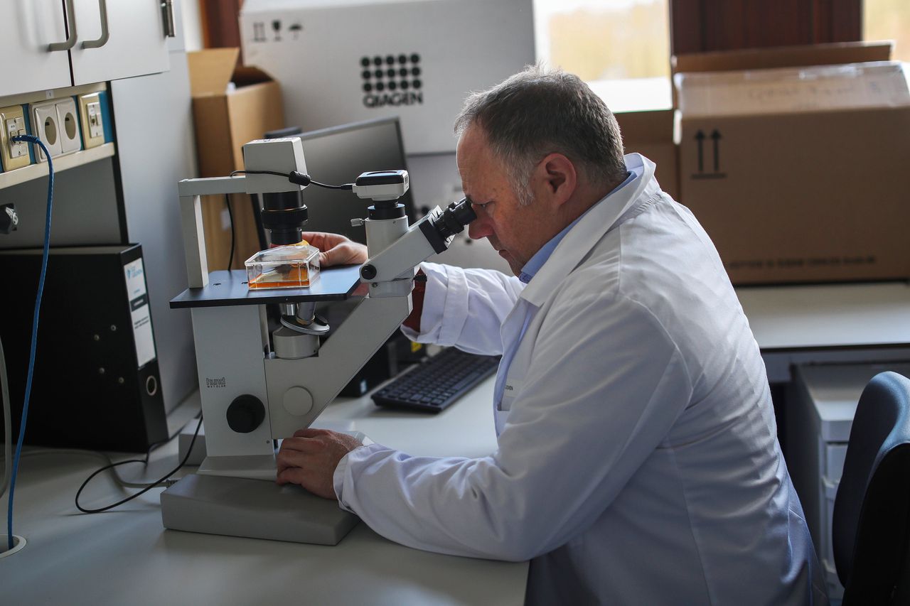 Viroloog Marc van Ranst aan het werk in zijn laboratorium in Leuven.