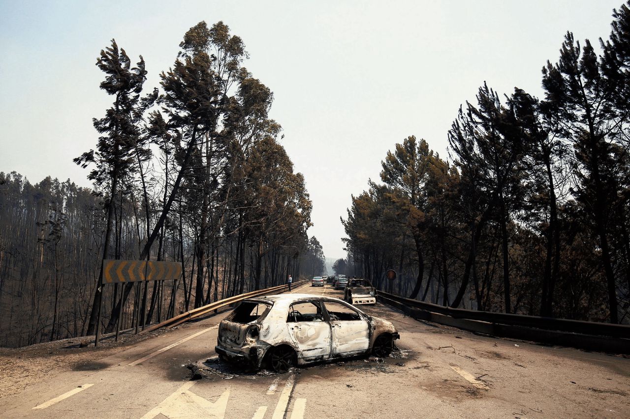 Een uitgebrande auto en verbrande bomen bij Figueiro dos Vinhos, in het rampgebied. De rookpluimen waren op honderd kilometer afstand te zien.