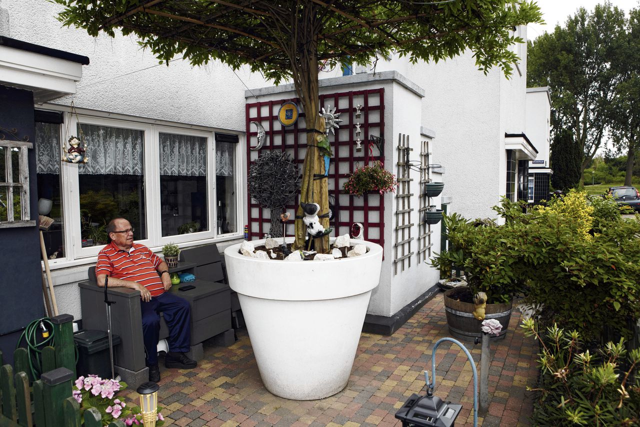 Tree in pot: this way it stays neat