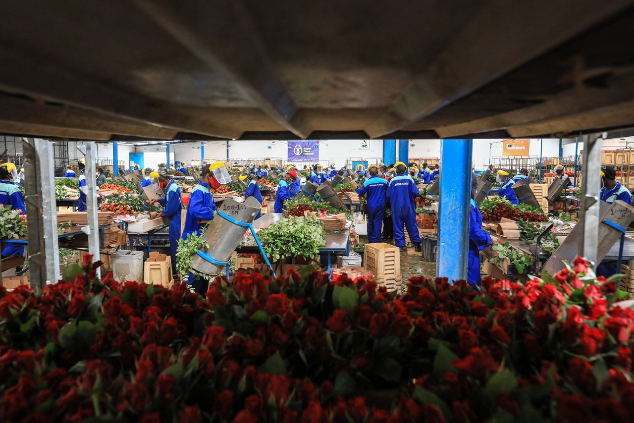 ‘Mensen willen ook geen 15 euro voor een boeket rozen betalen’ 