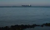 Oil tanker Marabella Sun at anchor in the Western Scheldt.