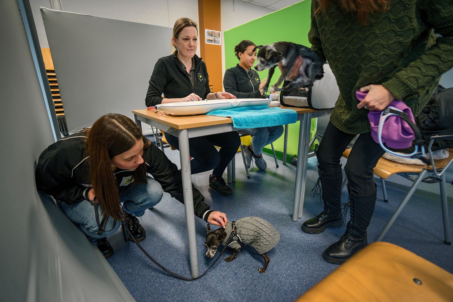 Ook bij de dierenarts is geldgebrek zichtbaar. ‘Kleine problemen worden steeds groter’ NRC