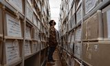 Сотрудник просматривает документ в правозащитной организации 