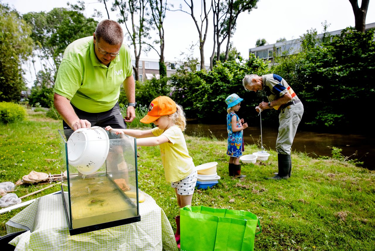 Natuurgidsen van IVN helpen kinderen met het vangen van waterdiertjes in een sloot.