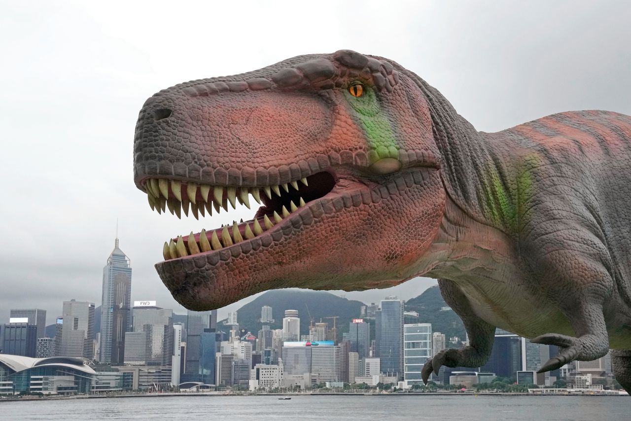 De voorpoten van T. Rex waren kwetsbaar, zeker tijdens gezamenlijke maaltijden.