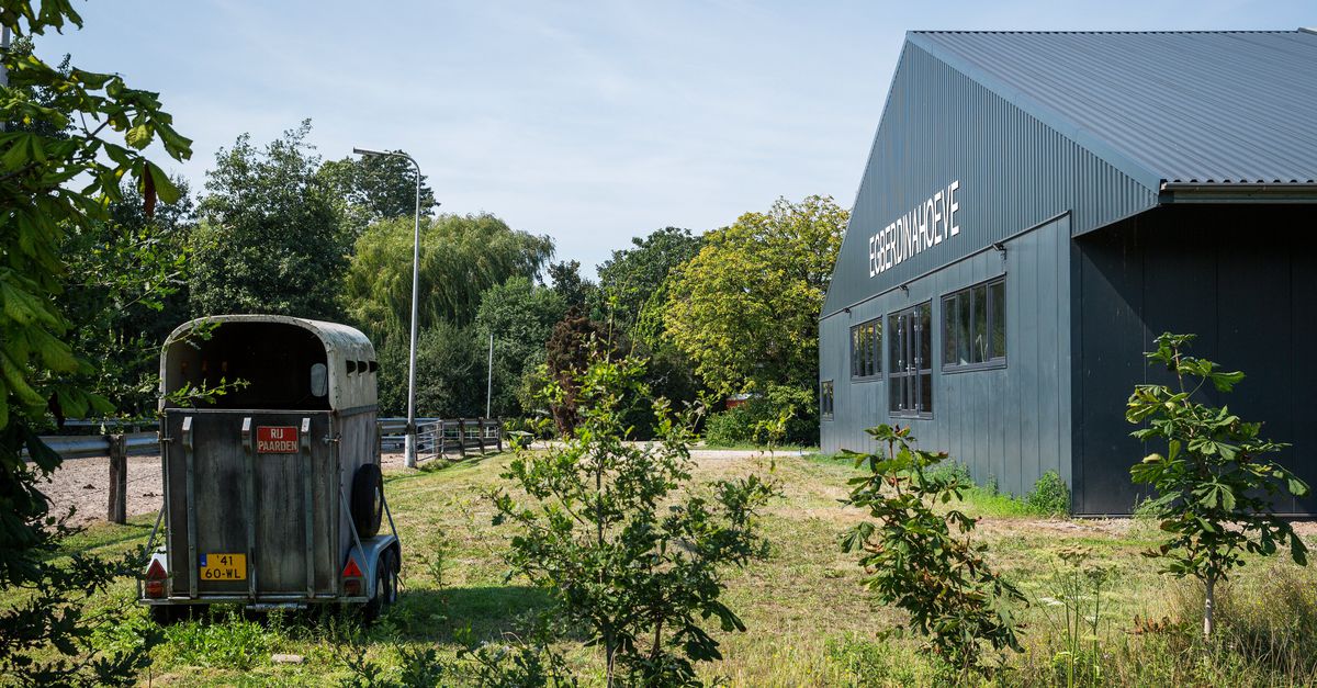 De rechtbank legde Jan B., de 65-jarige eigenaar van de manege, drie jaar celstraf op; dertien Colombianen en een Turkse man verdwijnen voor 2,5 jaar achter de tralies.