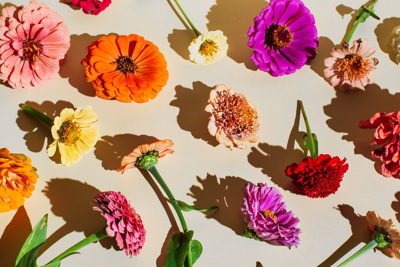 Golven Concessie Pasen Hoe kies je duurzame bloemen? En andere tips voor een perfect  valentijnsboeket - NRC