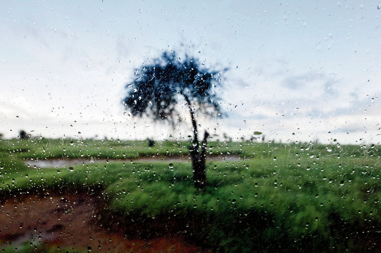 Toenemende droogte? Het regent juist meer in de Sahel-landen 