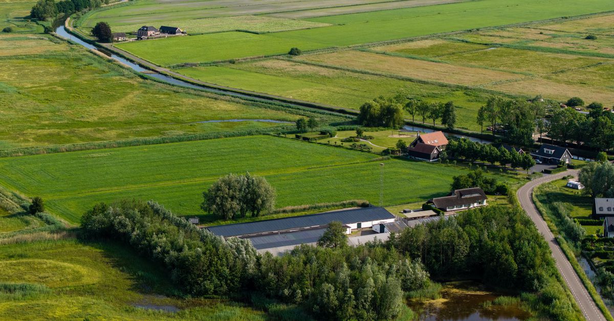 Een Utrechtse boer mag straks geen mest meer uitrijden, z’n collega in Gelderland – een weiland verderop – nog wel