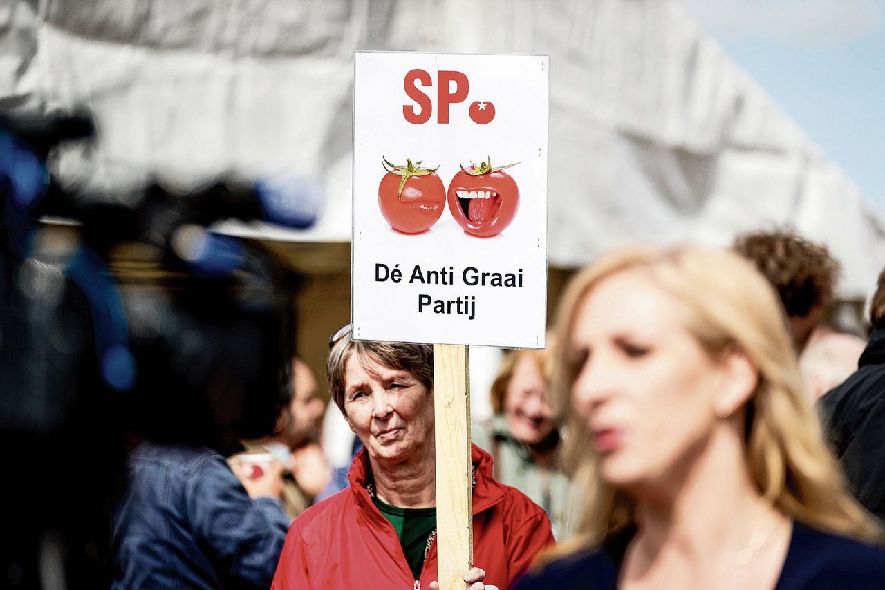 Meebesturen? De SP wil weer de straat op 