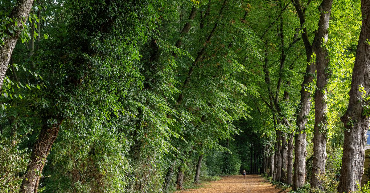 In Austerlitz maakten de dorpelingen hun eigen vluchtplan voor als er een natuurbrand uitbreekt. ‘Bereid vlucht naar Woudenberg voor’, stond in de groepsapp