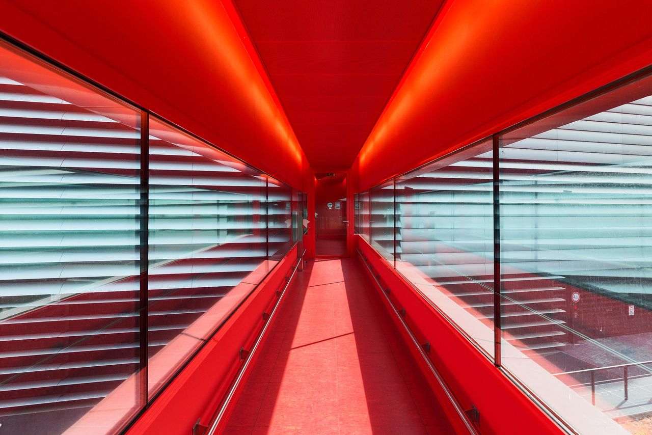 Image for the article: Nederland is niet klaar voor de AI-golf die nú op ons afkomt 