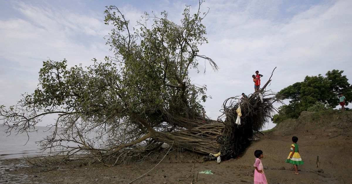Fietswrak komt boven - NRC