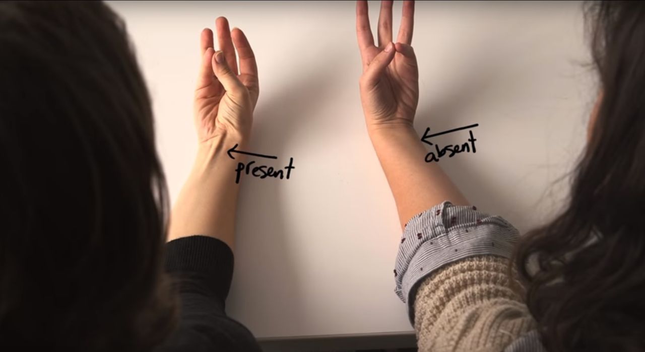 Vind sporen van de evolutie op je eigen lichaam NRC