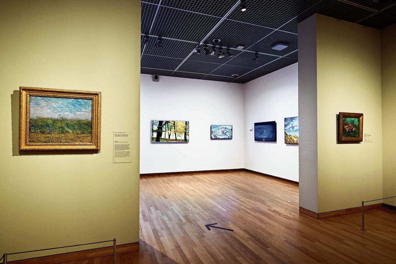 Vijf websites van Jan Robert Leegte zijn te zien in de bovenste zaal van het Van Gogh Museum.