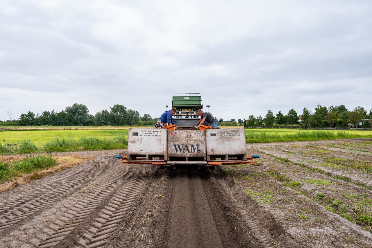 Het nieuwe kabinet trekt landbouwmaatregelen in. Wat betekent dat voor boeren? En voor de natuur? 