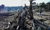 Large natural fire near Ede, Air Force uses helicopter
