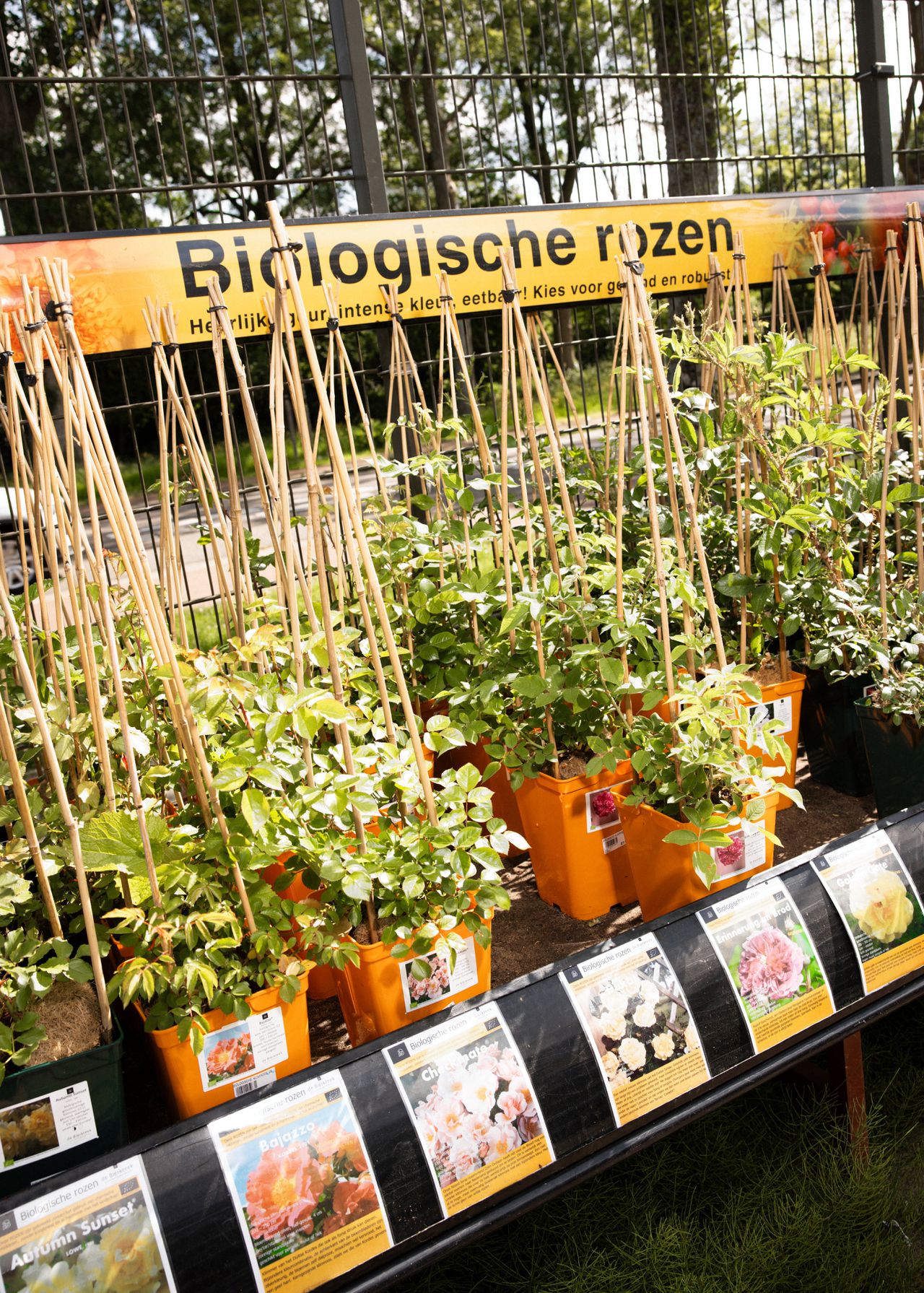 Ook het tuincentrum vindt dat de tuin groener moet - NRC