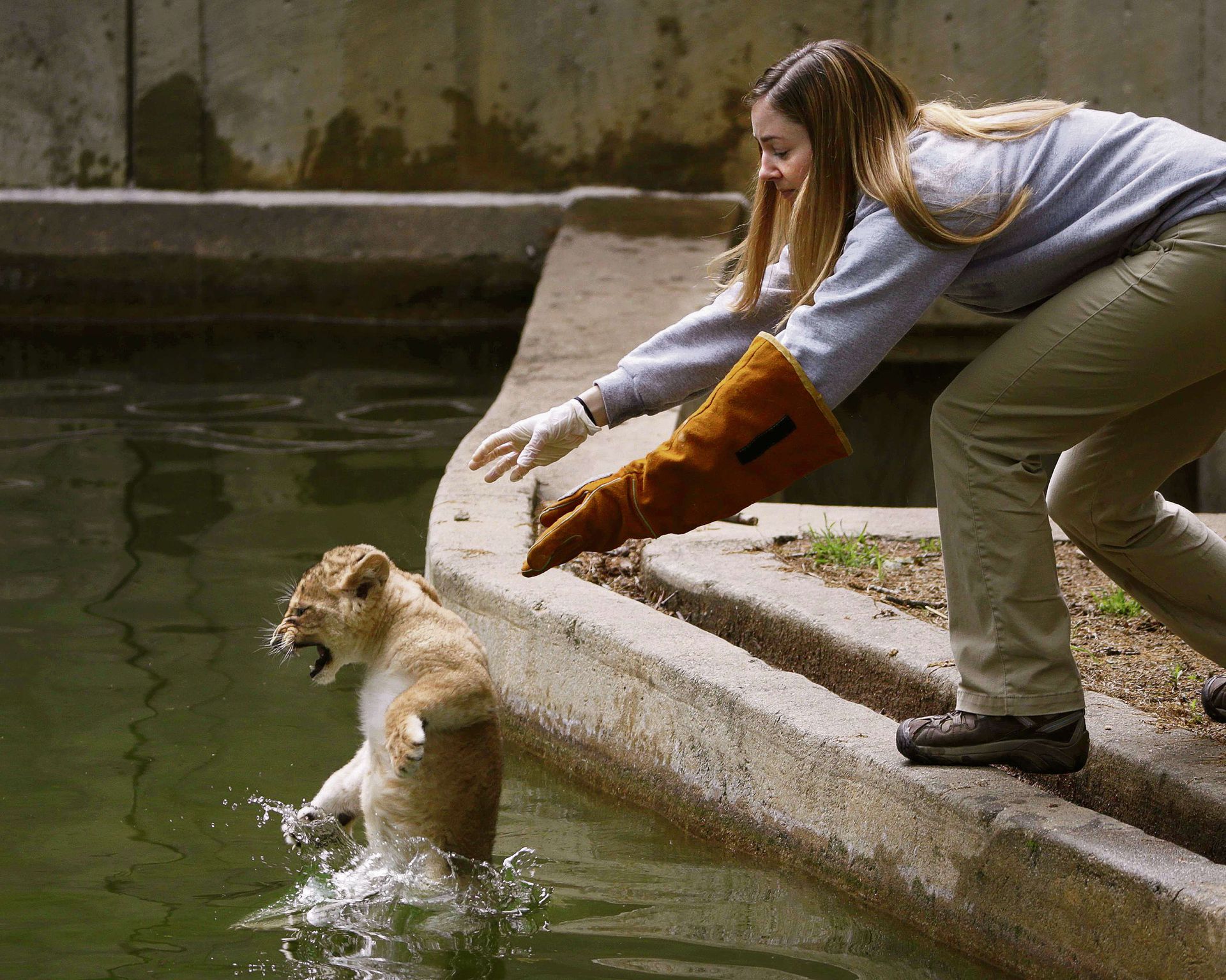 Забавные ситуации. Мокрая кошка. Котики смешные. Смешные картинки с животными. Отфотошопленная девушка.