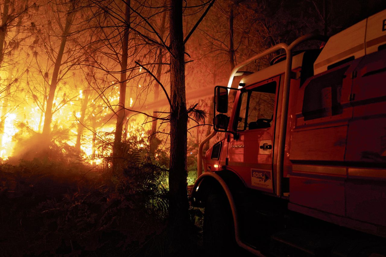 Vuur vrat zich snel door de pijnbomen in de Gironde, mede dankzij de monocultuur 