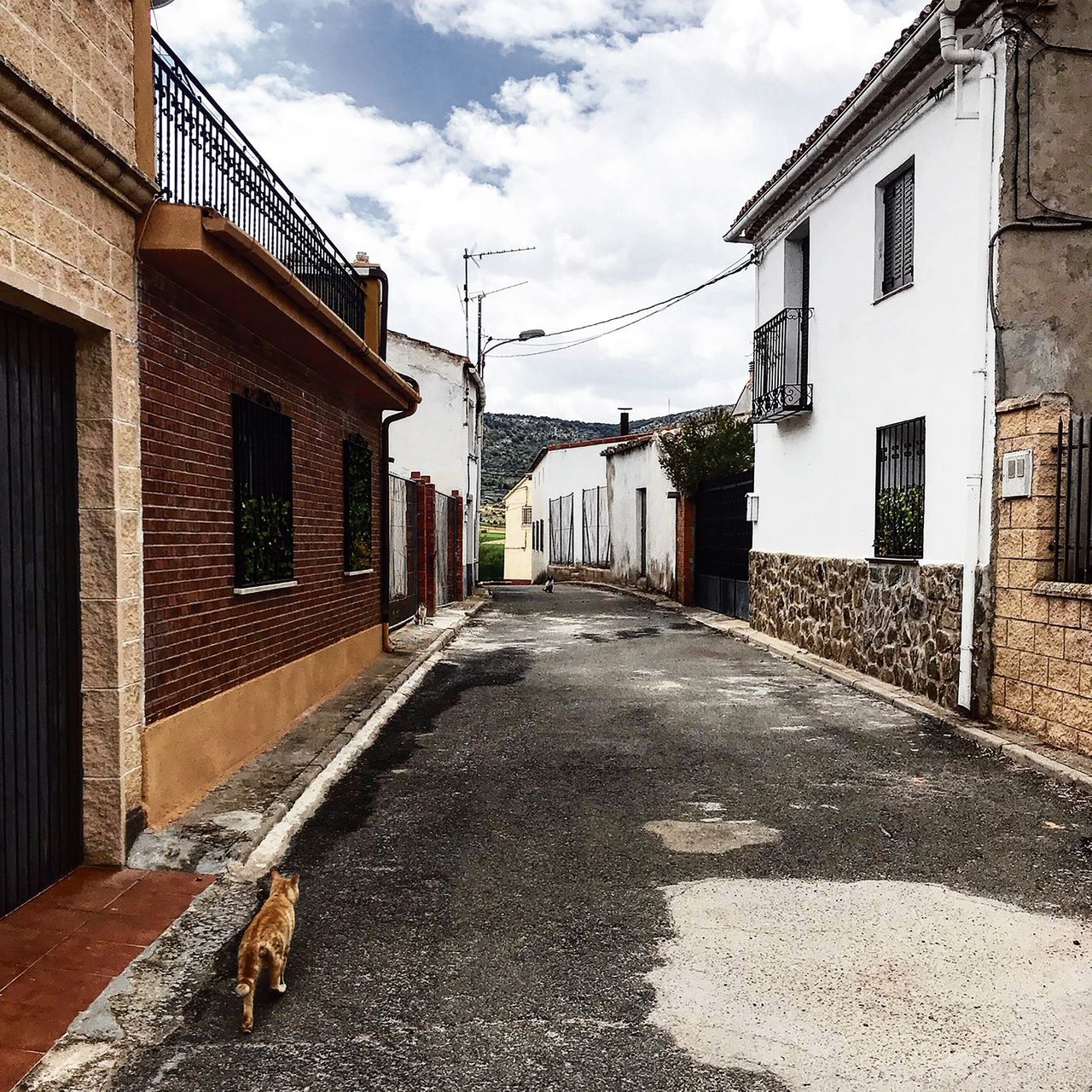 In Villaseca de Henares woonden vijftig jaar geleden nog 1.500 mensen, nu staan er nog dertig inwoners geregistreerd.