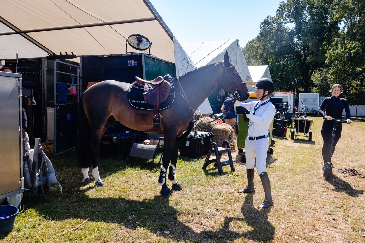 Horses Pampered During Heatwave at Elite Dutch Equestrian Event