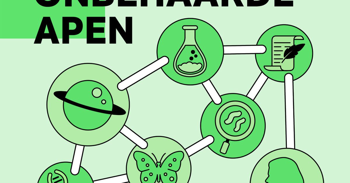 De nieuwe archeologie van precolumbiaans Amerika: brede wegen, grote steden, bloeiende landbouw