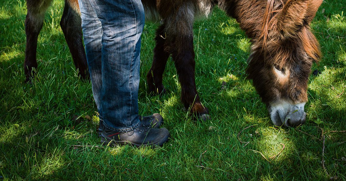 Hij voelt zich thuis tussen tbs’ers