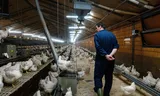 This farmer wants to help the environment, but he does not dare to replace the floor of his stable yet